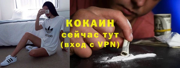 молекула духа Алексеевка