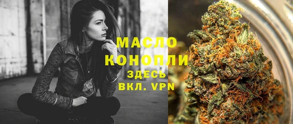 молекула духа Алексеевка