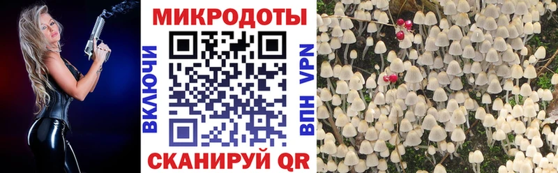 Псилоцибиновые грибы Psilocybine cubensis  как найти   Белорецк 